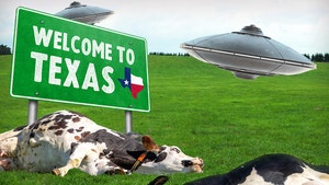 Alien Theory Fueled After 6 TX Cows Die Under Mysterious Circumstances