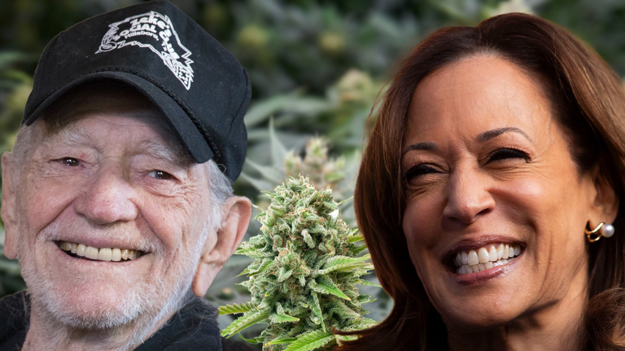 Willie Nelson organiza un evento comunitario de cannabis para apoyar a Kamala Harris