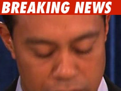 Tiger Woods Won't Gamble With His Image