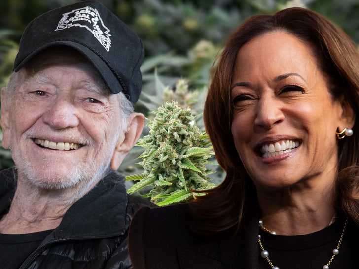 willie nelson kamala harris marijuana