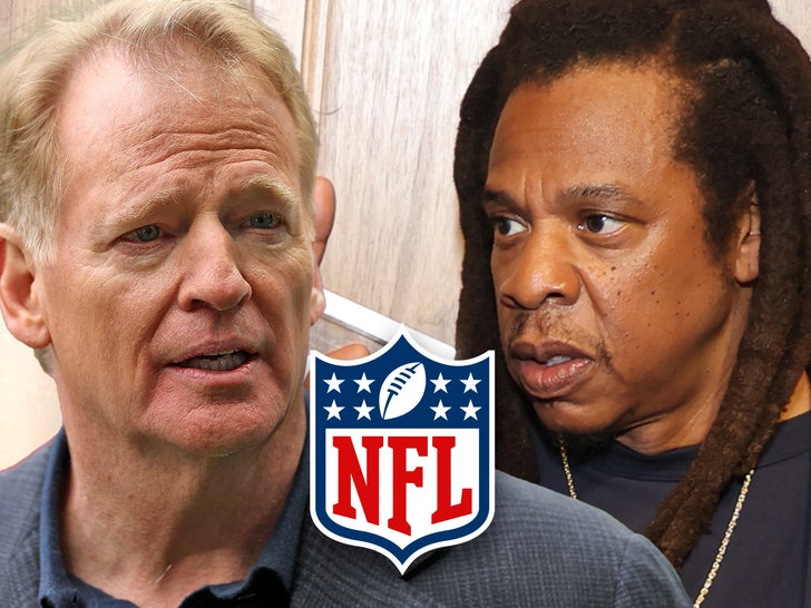 roger goodell jay z nfl allegations