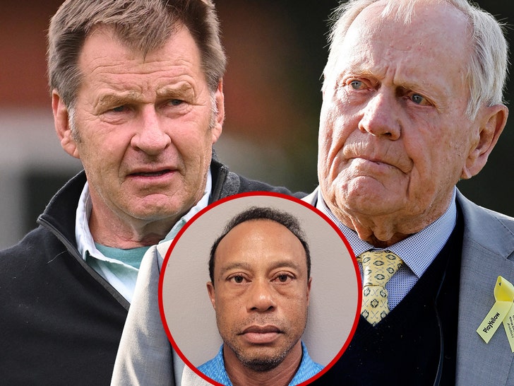 jack nicklaus and nick faldo tiger woods getty comp