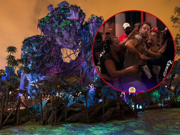 avatar ride fight getty comp