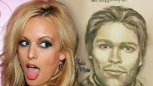 Stormy Daniels Has Received More Than a Thousand Tips on Mystery Man Sketch