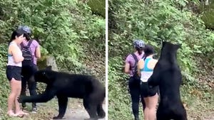 Woman Takes Selfie with Wild Black Bear in Insanely Close Encounter