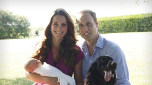 Prince William and Kate Middleton's Dog Lupo is Dead