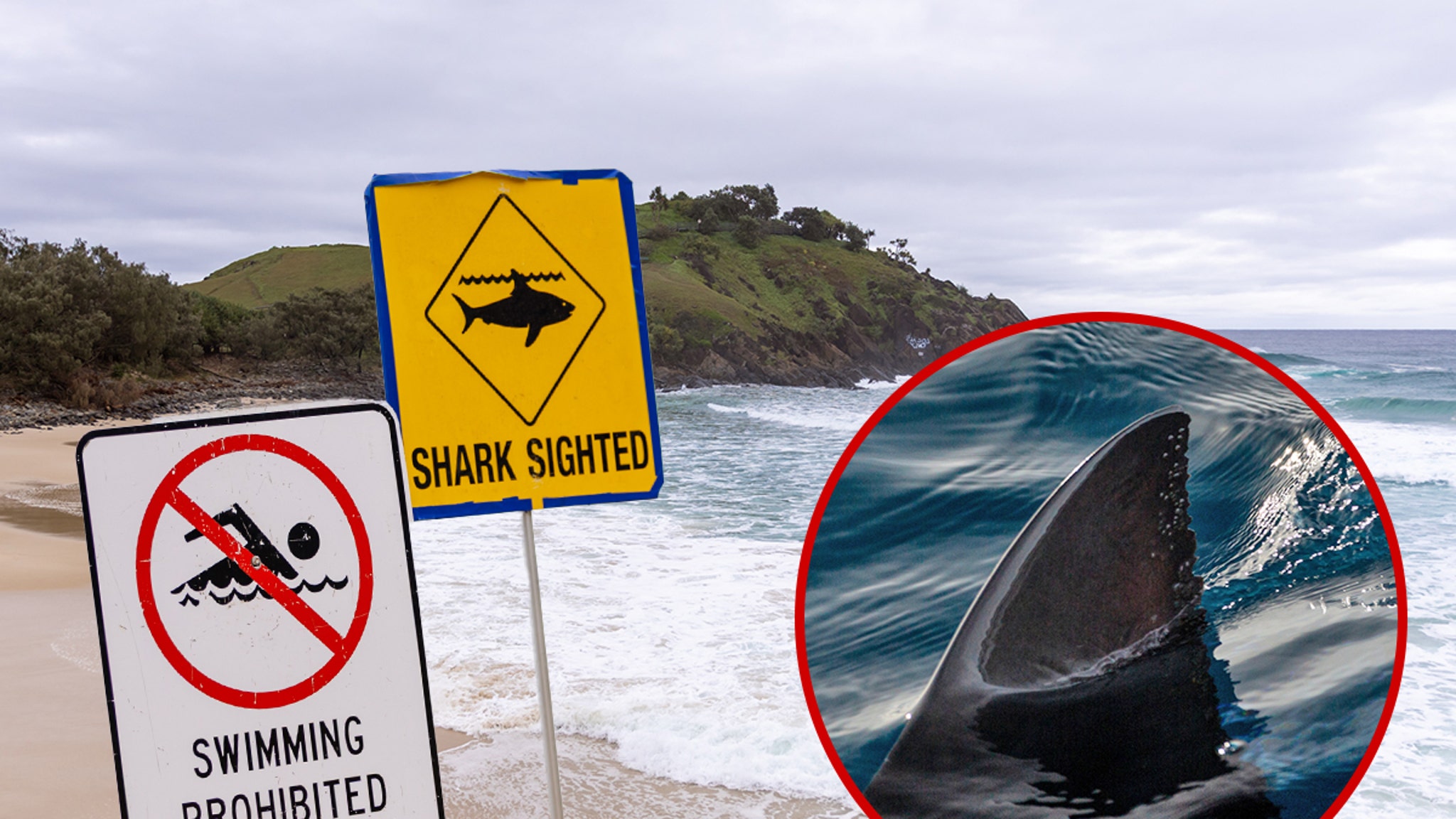 Man Punches Shark to Fend Off Terrifying Attack on Teen, on Video