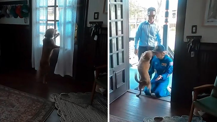 astronaut-dog-reacts-return-kal-04-13-2026
