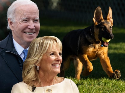 1220-joe jill biden commander puppy getty twitter