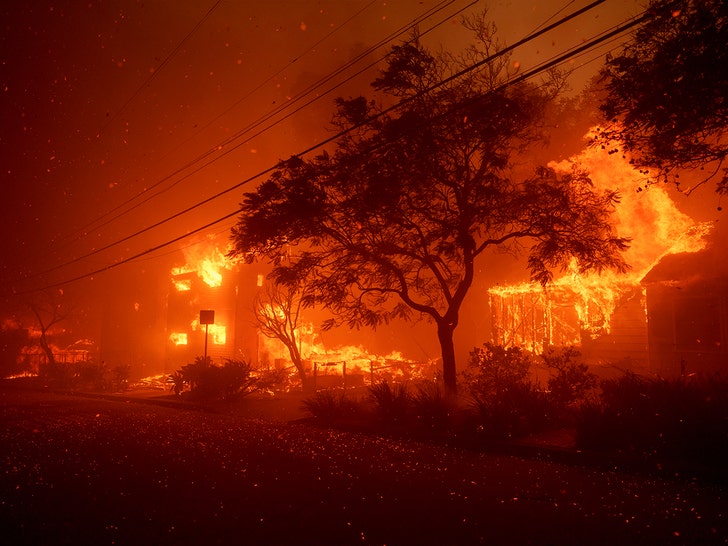 Pacific palisades fire in Malibu