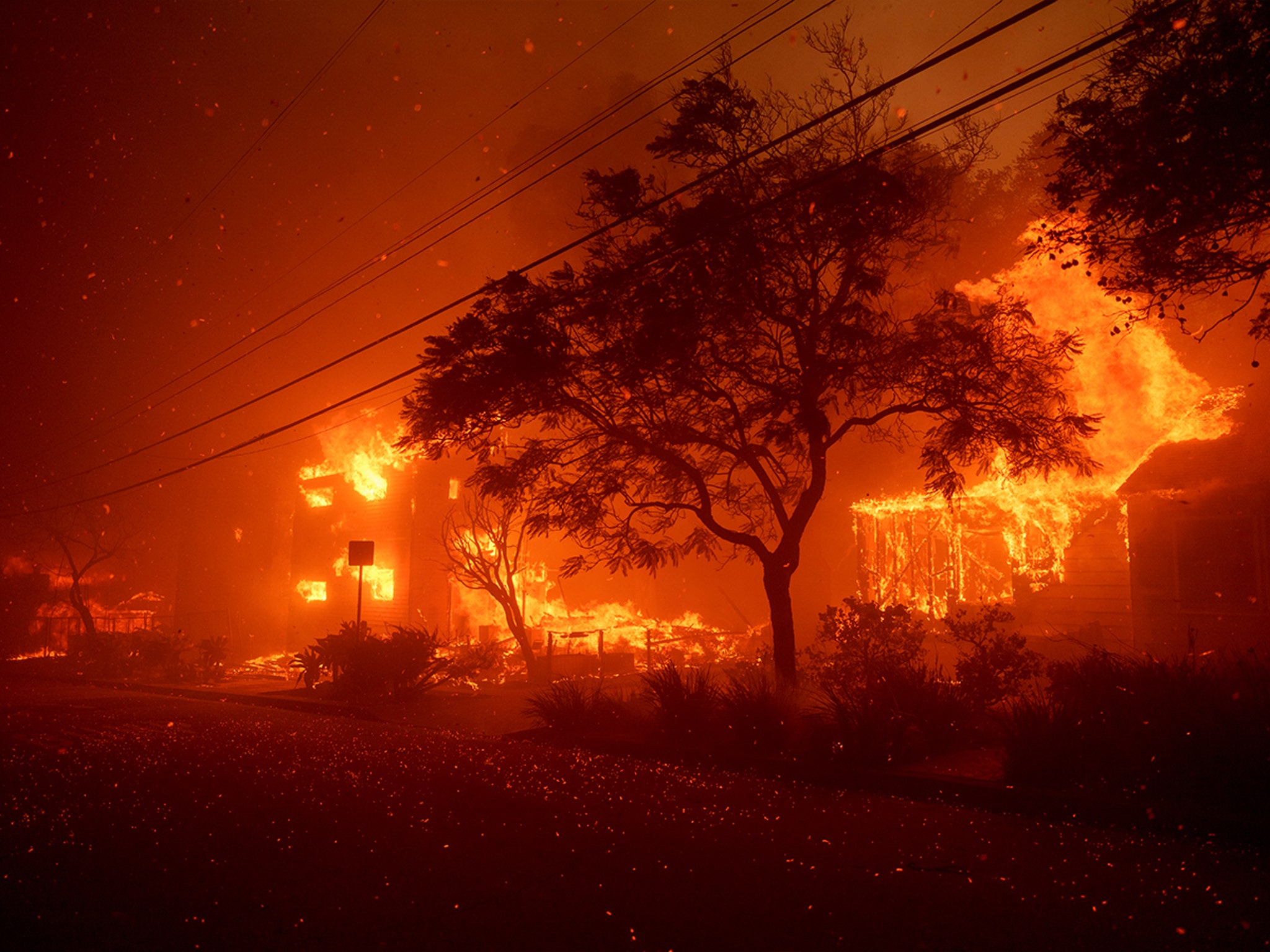 The Impact of the Pacific Palisades Fire in Malibu