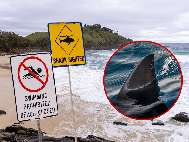 shark attack at cabarita beach getty 1