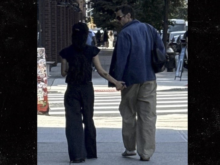 harry styles zoe kravitz backgrid