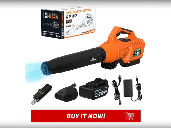 Leaf-Blower-Cordless-With-Battery-Prime-Day-Top-Early-Deals-MAIN