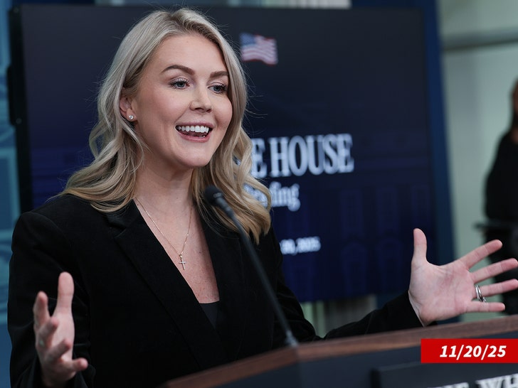 karoline leavitt sub getty swipe 