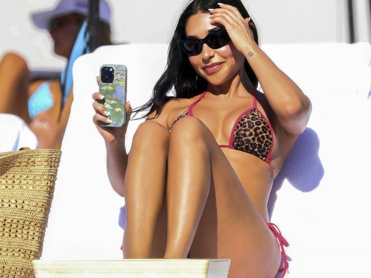 1222-Chantel-Jeffries-Beach-Animal-Print-Bikini-Sub1
