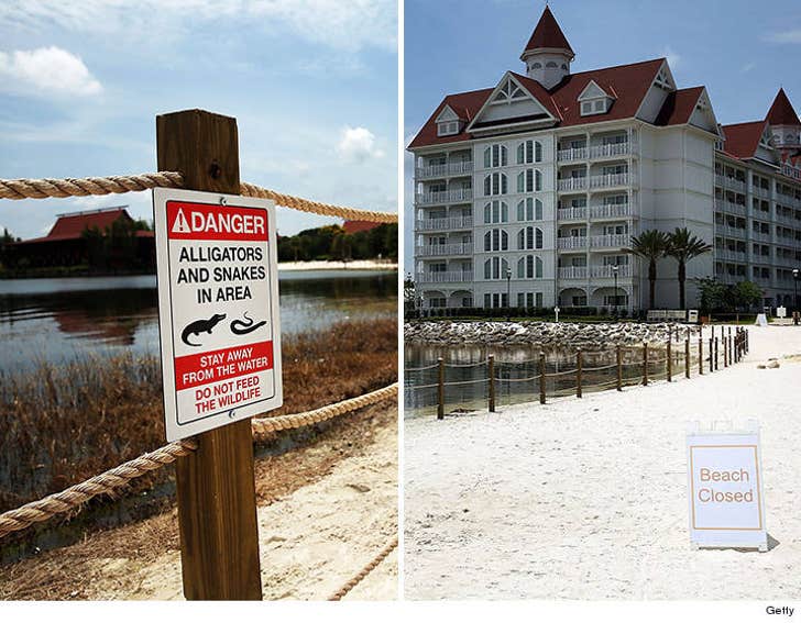 Disney Attack -- Law Enforcement 'Confident' Killer Gator Euthanized :: 0622-grand-floridian-beach-getty-4