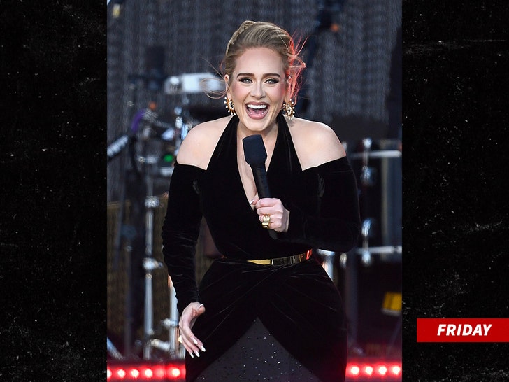 Adele Wore Schiaparelli Haute Couture & Louis Vuitton Performing At BST  Hyde Park