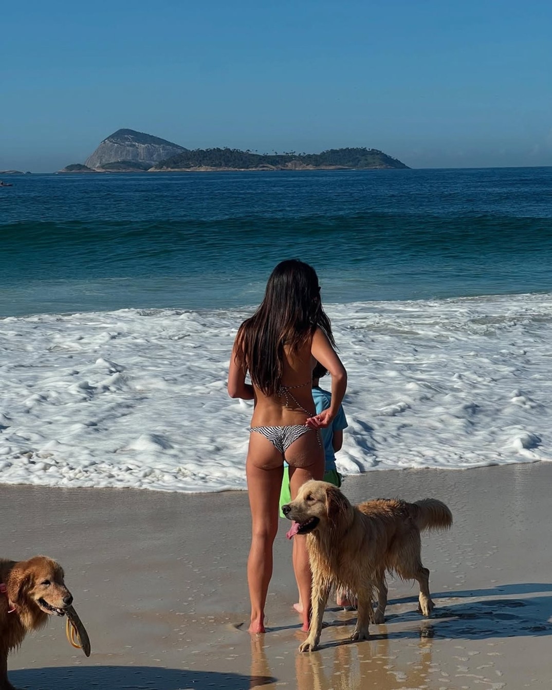 Jordana Brewster Hot Shots 5