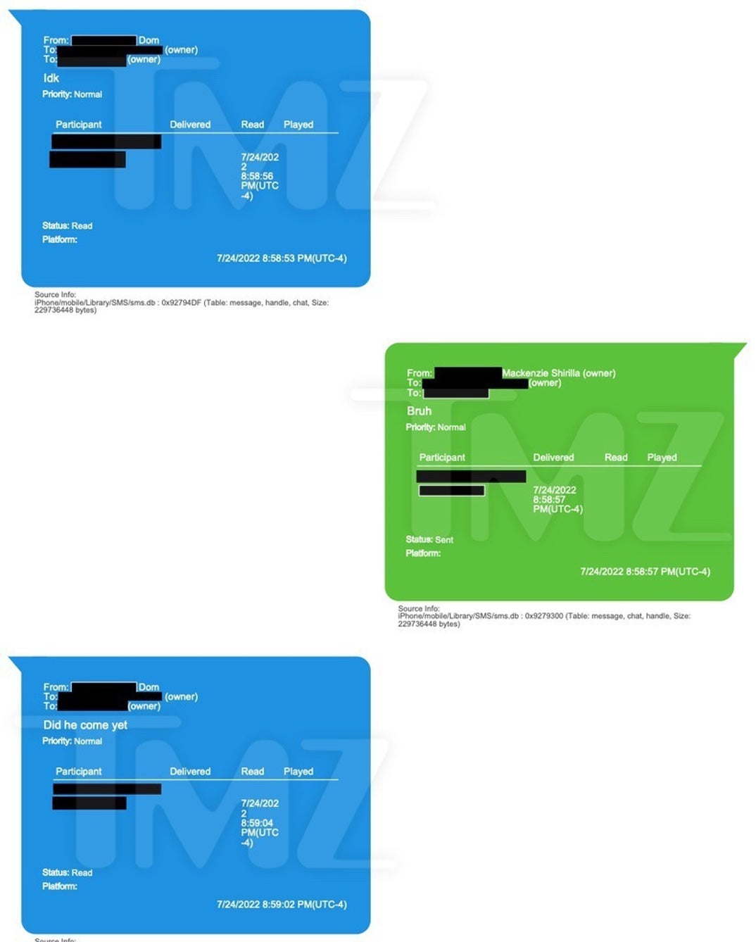Mackeznie Shirilla Last Texts With Dominic Russo 6