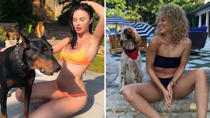 Stars Ruffin' It in Bikinis ... Hot, Dog!