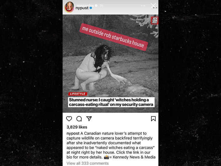 Megan Fox instagram story