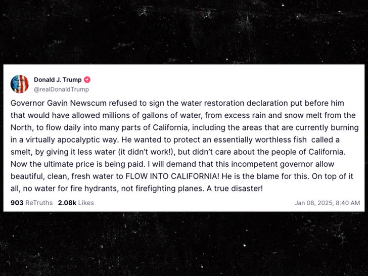 donald trump palisades fires gavin newsom truth social