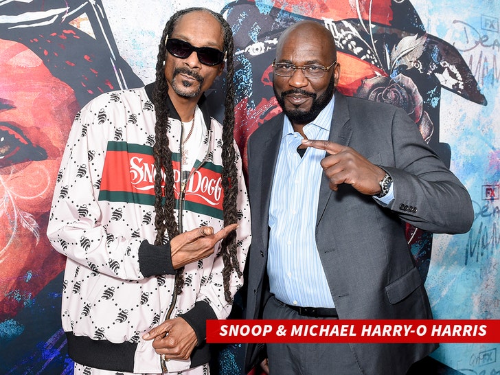 Michael 'Harry O' Harris Defends Snoop Dogg Over Trump Performance