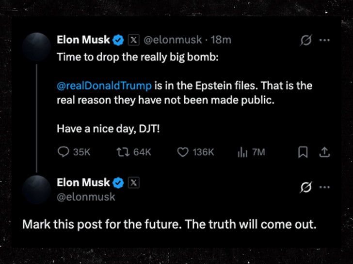 Elon Musk Donald Trump x Sul