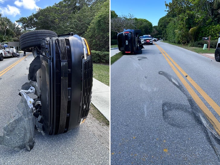 Tiger Woods DUI Crash Scene Pics