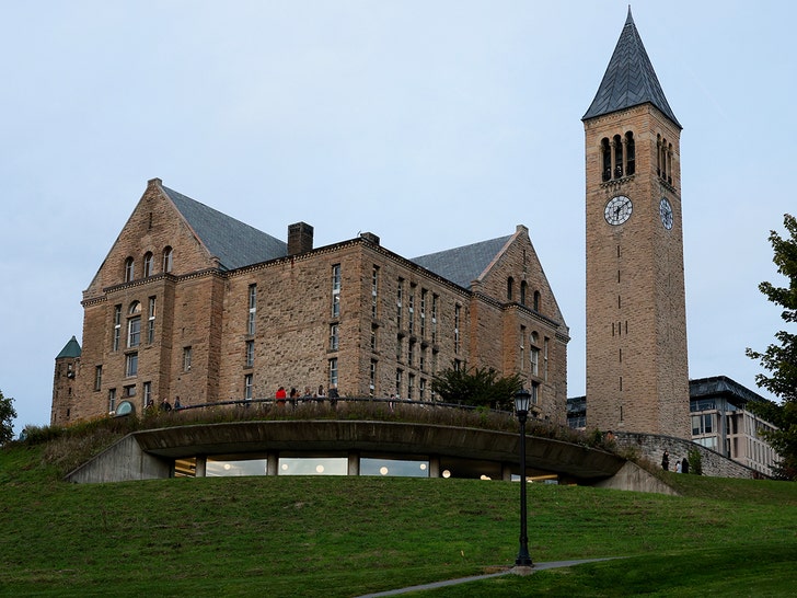 cornell university getty