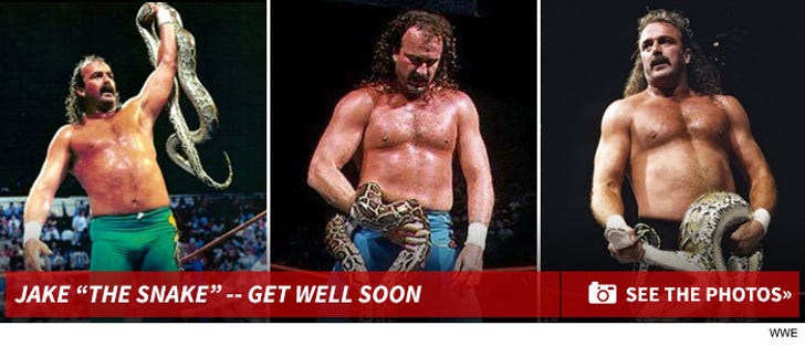 Jake "The Snake" Roberts -- Get Well Soon