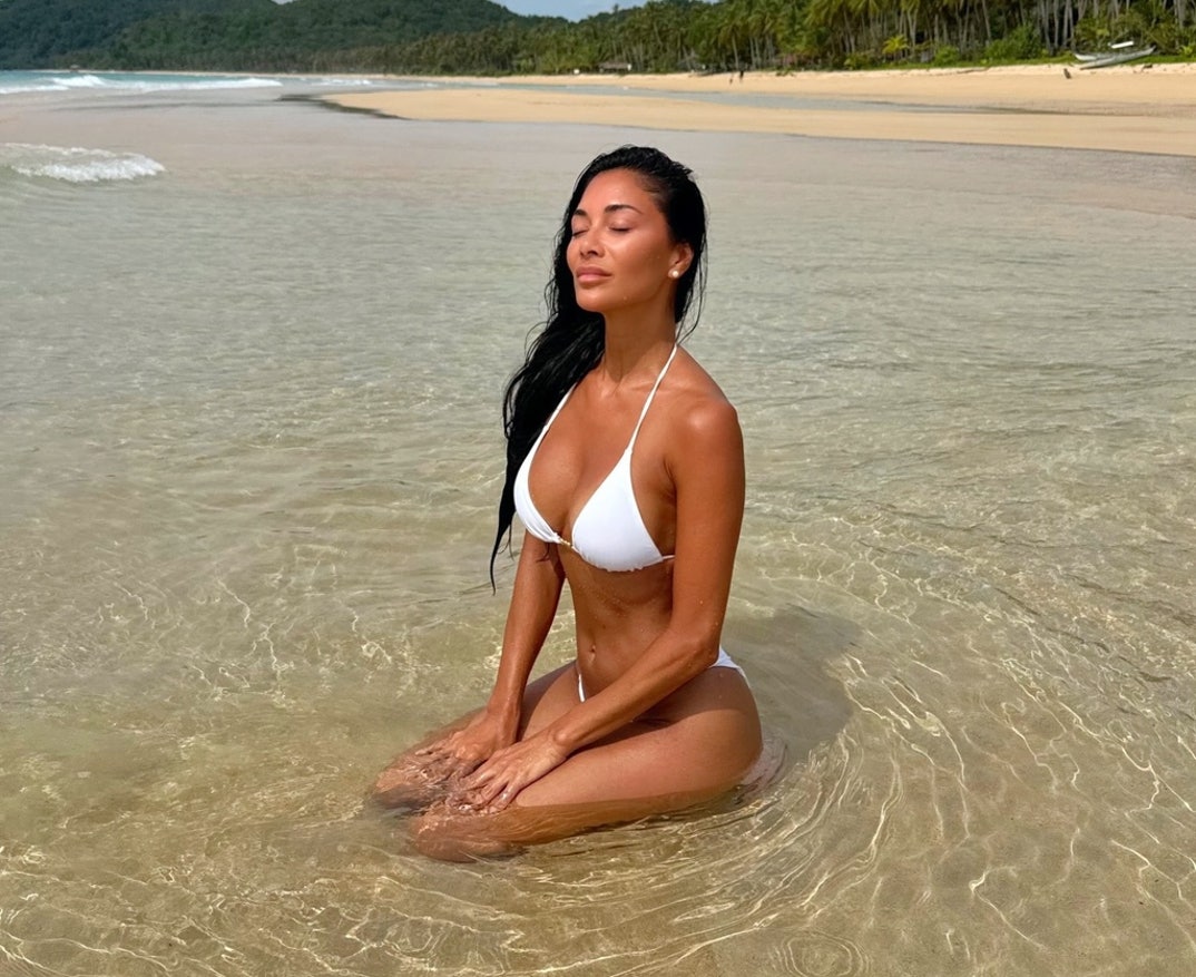 Nicole Scherzinger Hot Shots 3