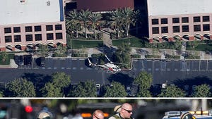 San Bernardino Massacre -- Shooting Triggered by Holiday Party Dispute
