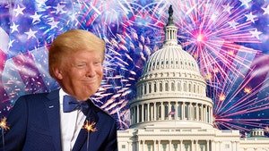 72-donald-trump-fireworks-tmzgetty03