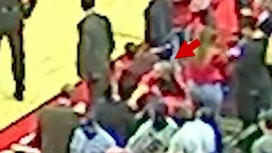 New Orleans Pelicans Coach Brutally Punched By Fan, Video Shows Violent Blow