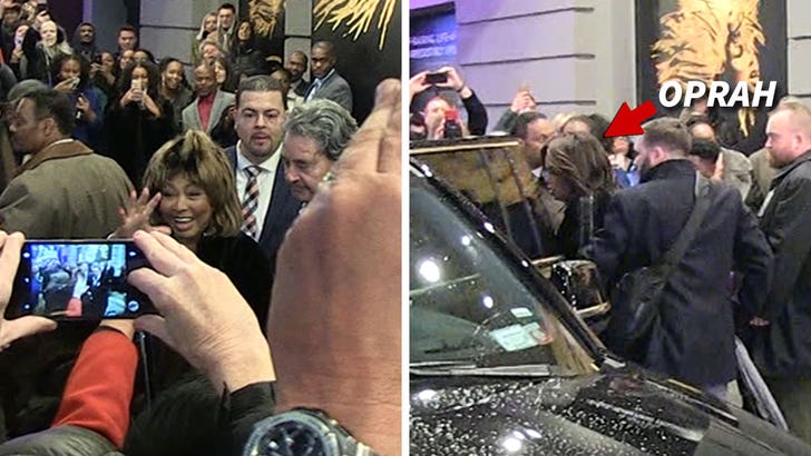 Tina Turner fans screamed their faces off as she left the new musical 'bout her life ... which Whoopi Goldberg touts as simply the best damn thing on Broadway.