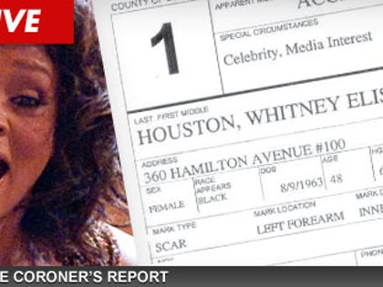 0404_whitney_report