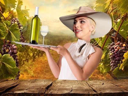 0203-lady-gaga-wine-fun-art-TMZ-GETTY-02