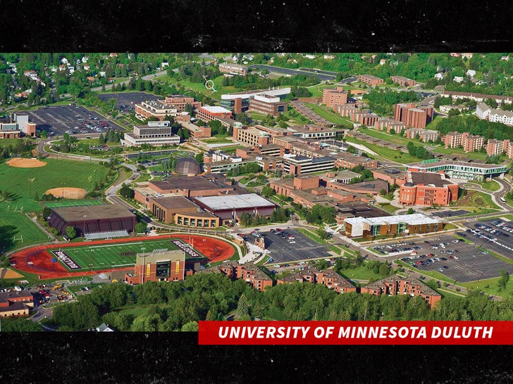 university of minnesota duluth