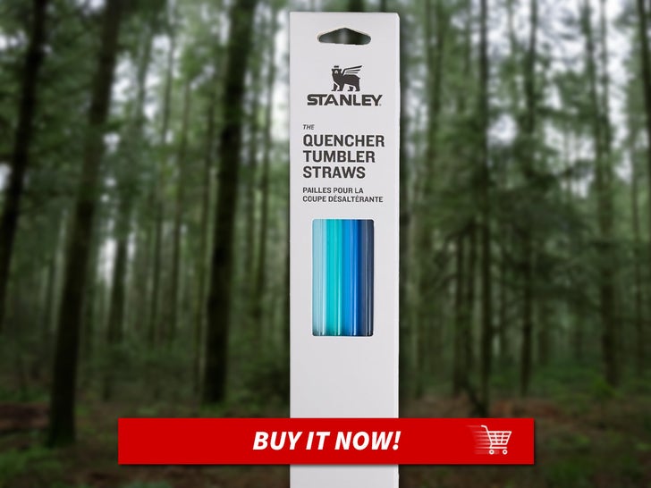 Stanley-Reusable-Quencher-Straws-MAIN