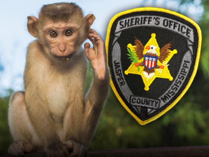 jasper county police department and Indochinese rhesus macaque getty 2