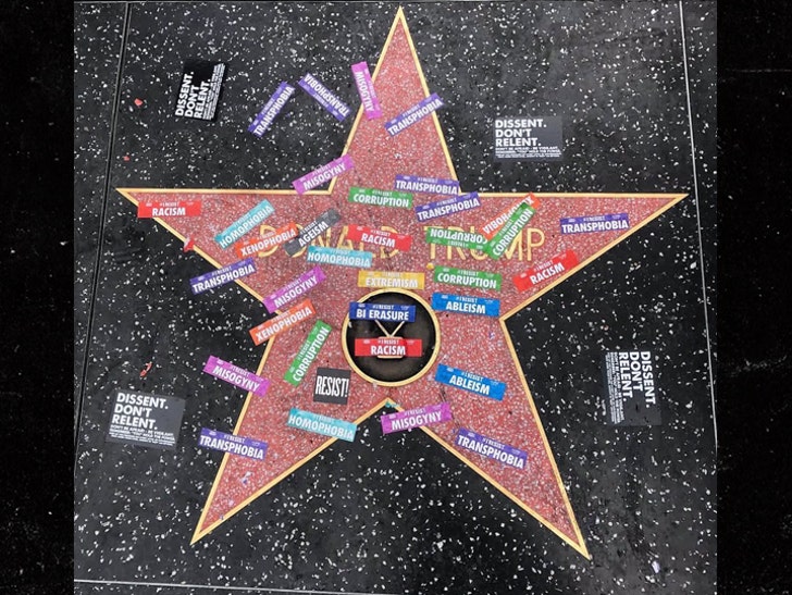 Donald Trump S Walk Of Fame Star Vandalized During Resist March