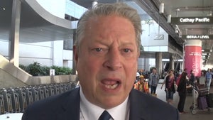 Al Gore Blasts Trump's Pullout of Paris Climate Agreement as 'Reckless' (VIDEO)