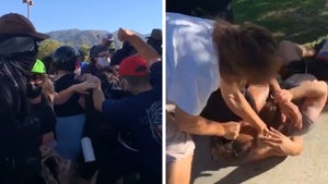 Trump Supporters and Black Lives Matter Protesters Get in Massive Fight