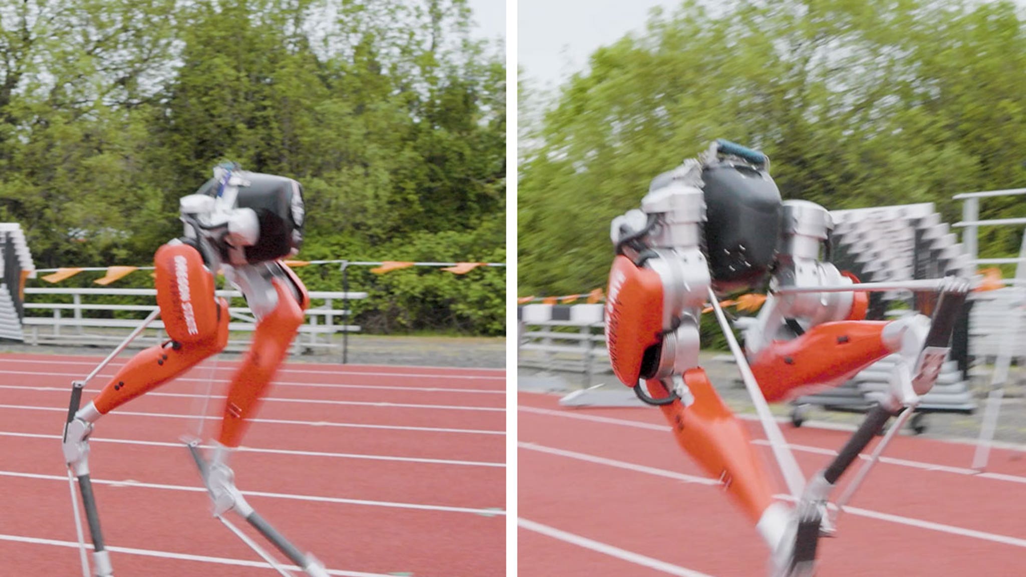 Oregon State Robot Breaks Guinness World Record In 100-Meter Dash thumbnail