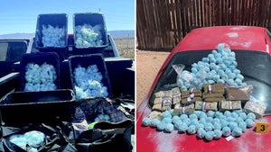 Drugs Sitting On The Trunk And Hood Of Cars