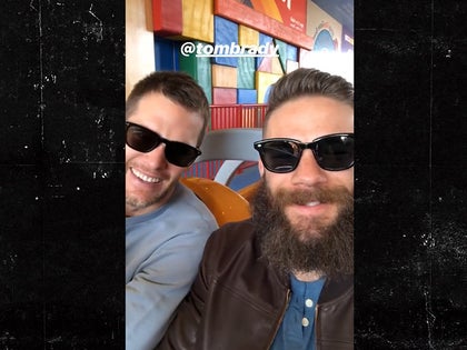 020419_julian_edelman_primary