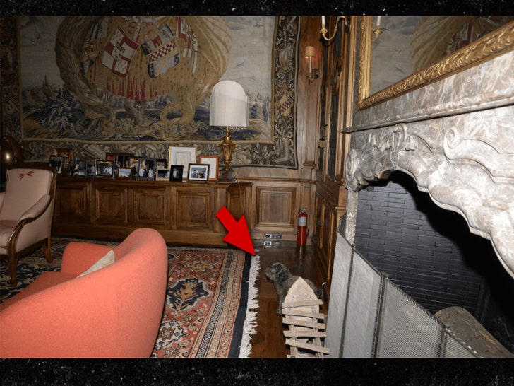 dog epstein files doj