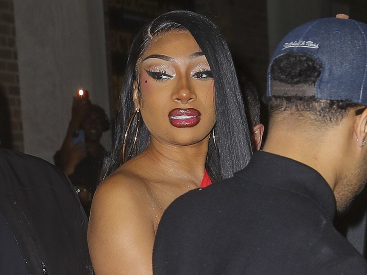 sub. megan thee stallion backgrid 1 ZOOM